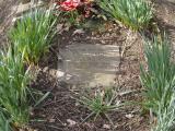 image of grave number 481655